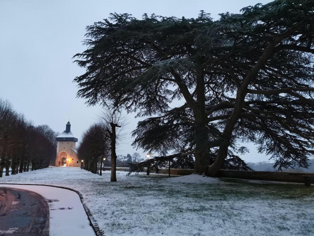 Cosy T1 ! Proche Commerces Et Axes Routiers Château-Renault Exterior foto